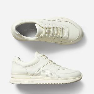 Everlane leather trainers